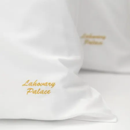 Lahovary Palace Hotel 3*